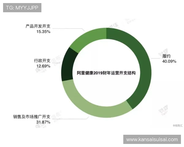 一号娱乐有限公司的市场推广策略与用户增长路径详细解读